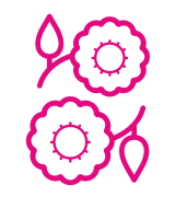 Dekoracje, florystyka